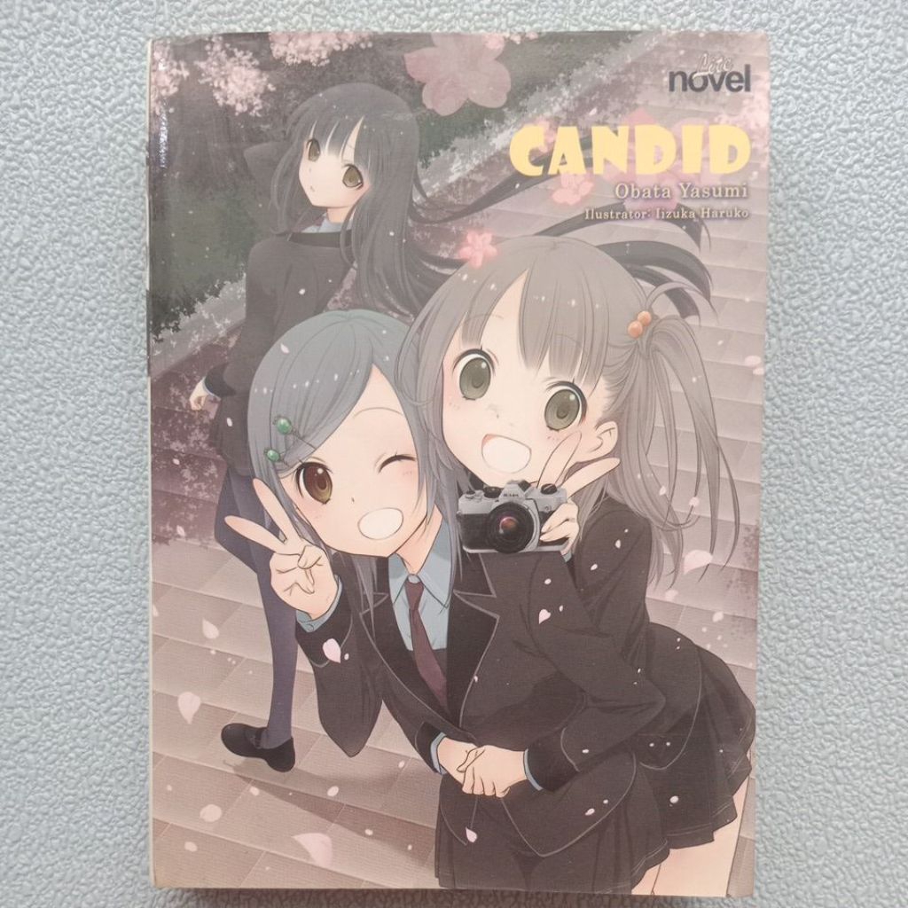 Novel Terjemahan Jepang Remaja Original Candid by Obata Yasumi