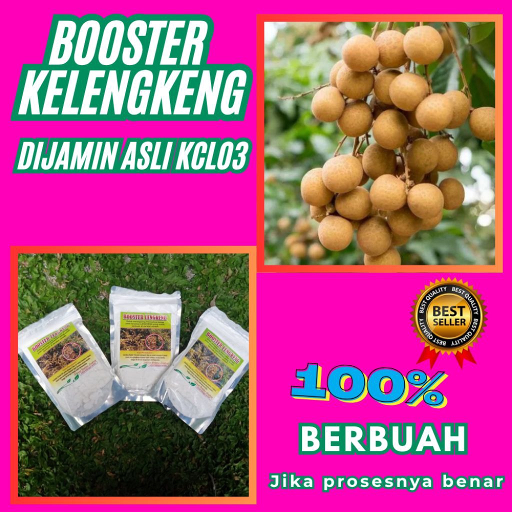 Pupuk Kelengkeng Kclo3, Pupuk Kelengkeng Merah