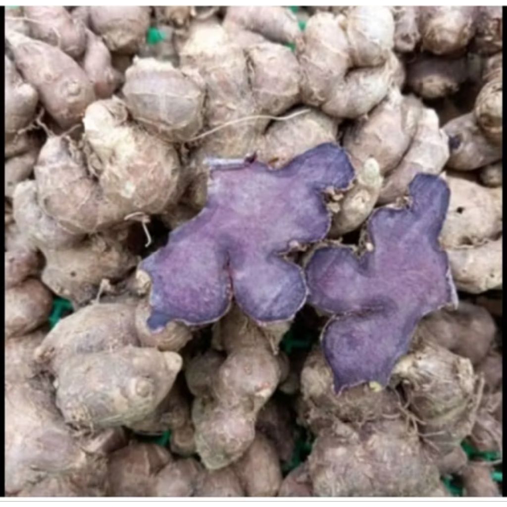 kunyit hitam obat jantung kualitas terbaik 250gram