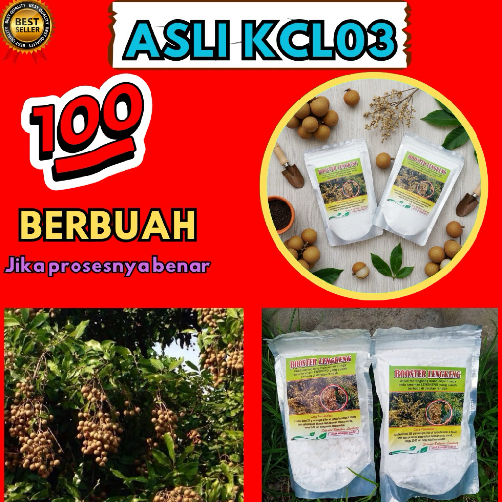Pupuk Kelengkeng Kclo3, Pupuk Kelengkeng Merah