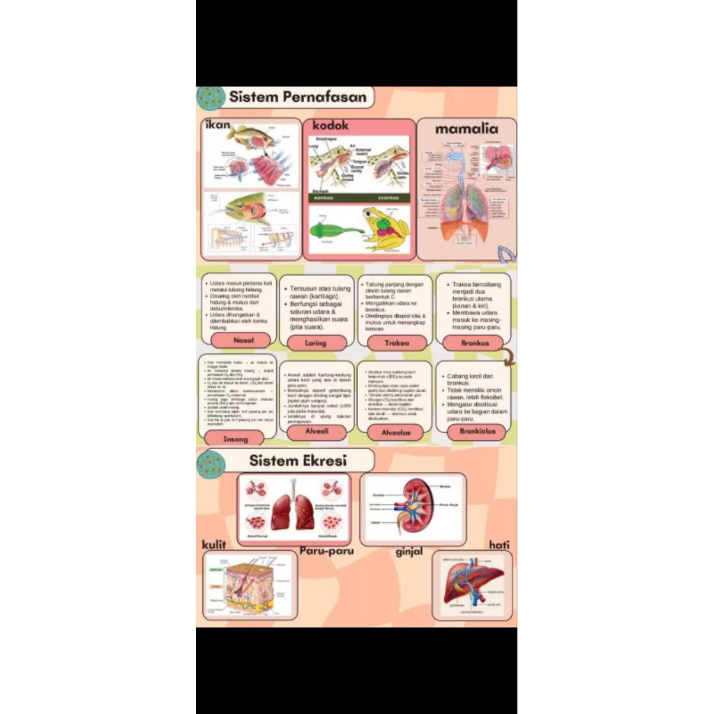 JASA MENCATAT CATATAN MURAH