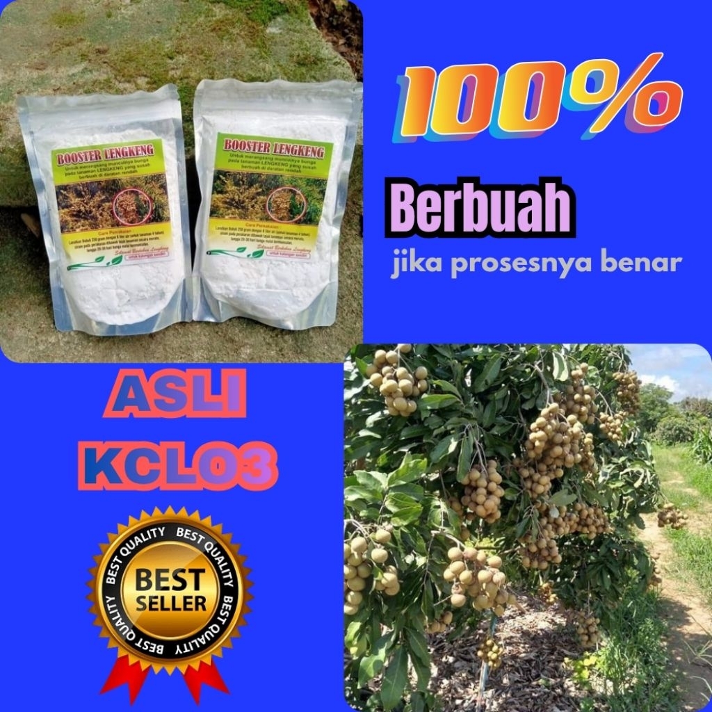 Boster Kelengkeng Kristal, Boster Kelengkeng Murni, Boster Kelengkeng New Kristal