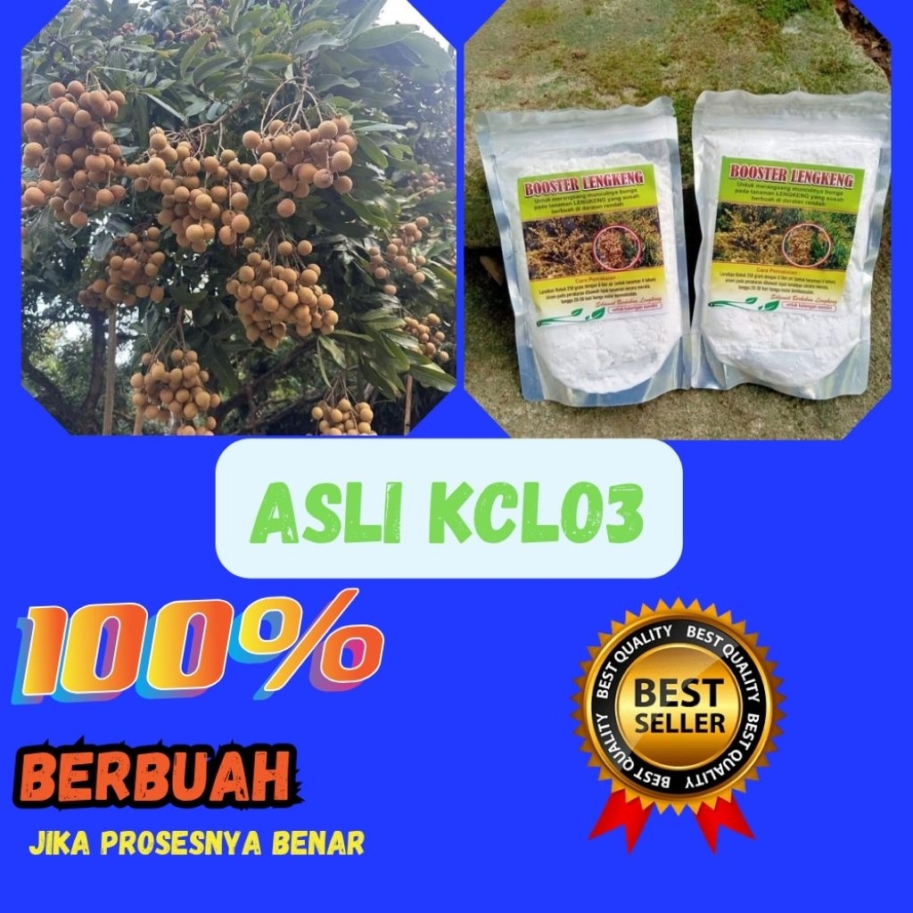 Boster Kelengkeng Terbaik, Boster Kelengkeng Terdekat, Boster Kelengkeng Untuk Mercon
