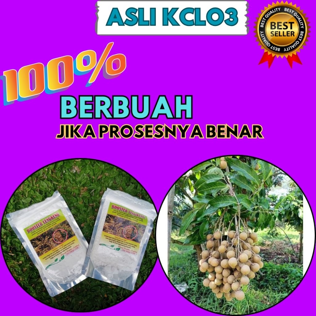 Boster Kelengkeng Kclo3 Terdekat, Boster Kelengkeng Kristal, Boster Kelengkeng Murni