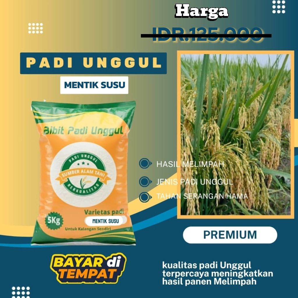 bibit padi unggul Mentik Susu kemasan 5 kg