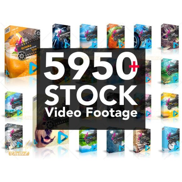 Stock Video Footage Bundle