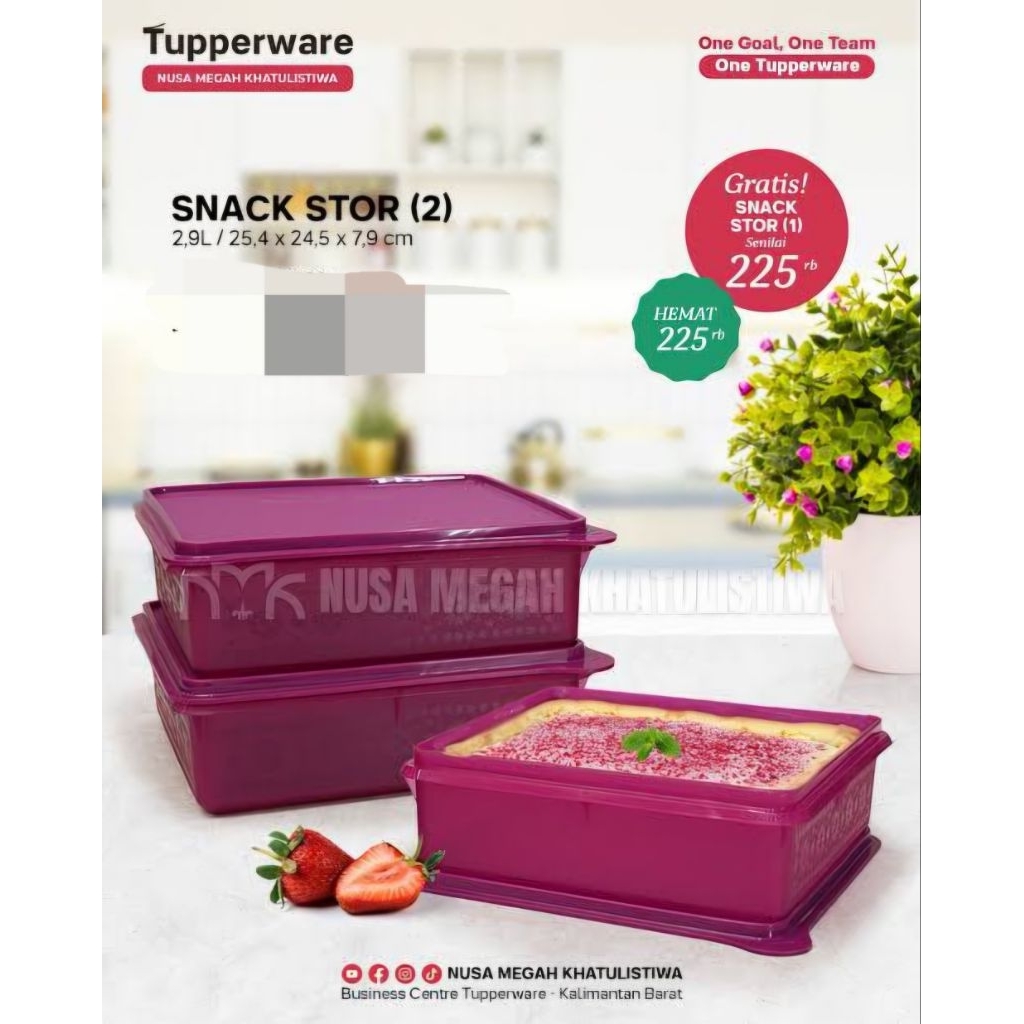 snack stor/Slice n stor /Large snak stor Tupperware satuan