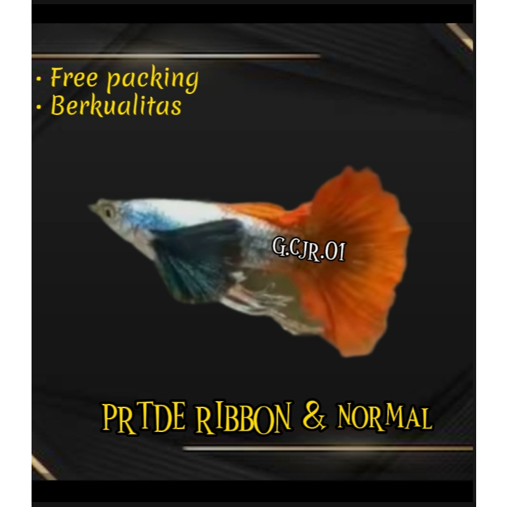 Soliter Background PRTDE ribbon & normal