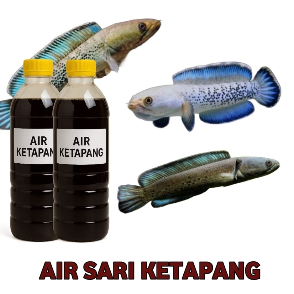 AIR KETAPANG