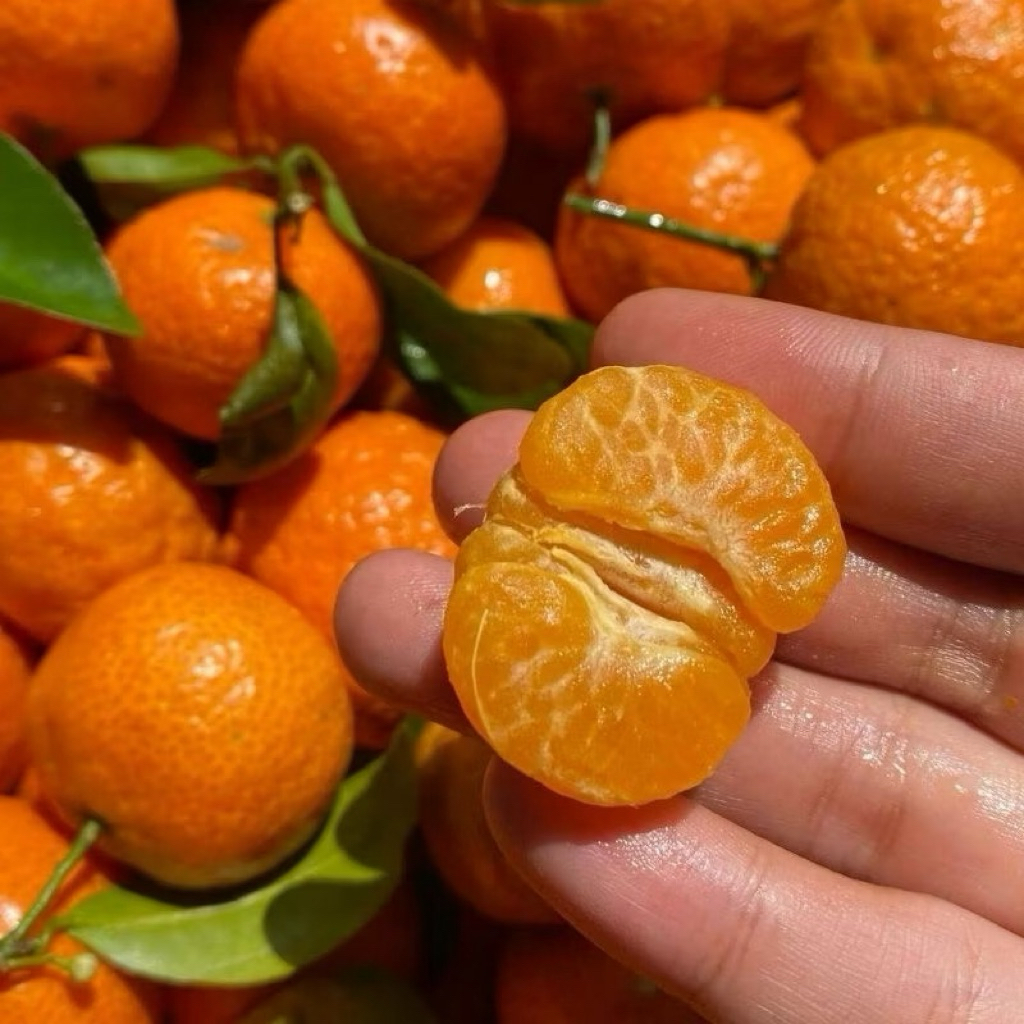 JERUK SANTANG MADU 1KG