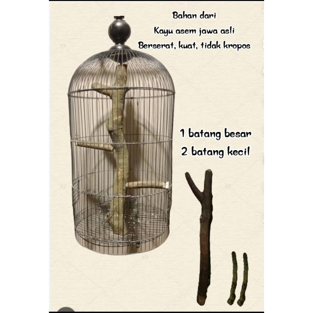 Tangkringan burung platuk,rambatan,kenari,parot,lb,sogon ,dll kayu asem Jawa asli