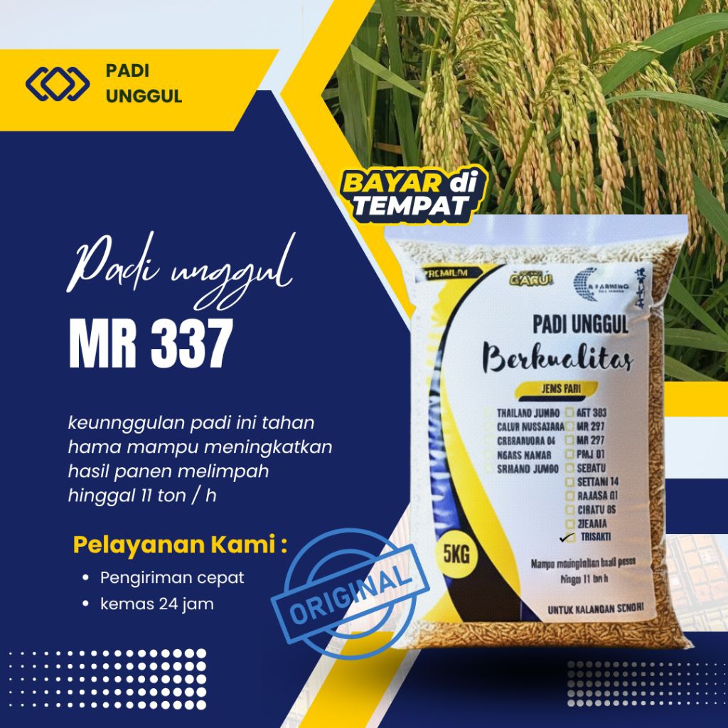BENIH PADI MR 337 5 KG