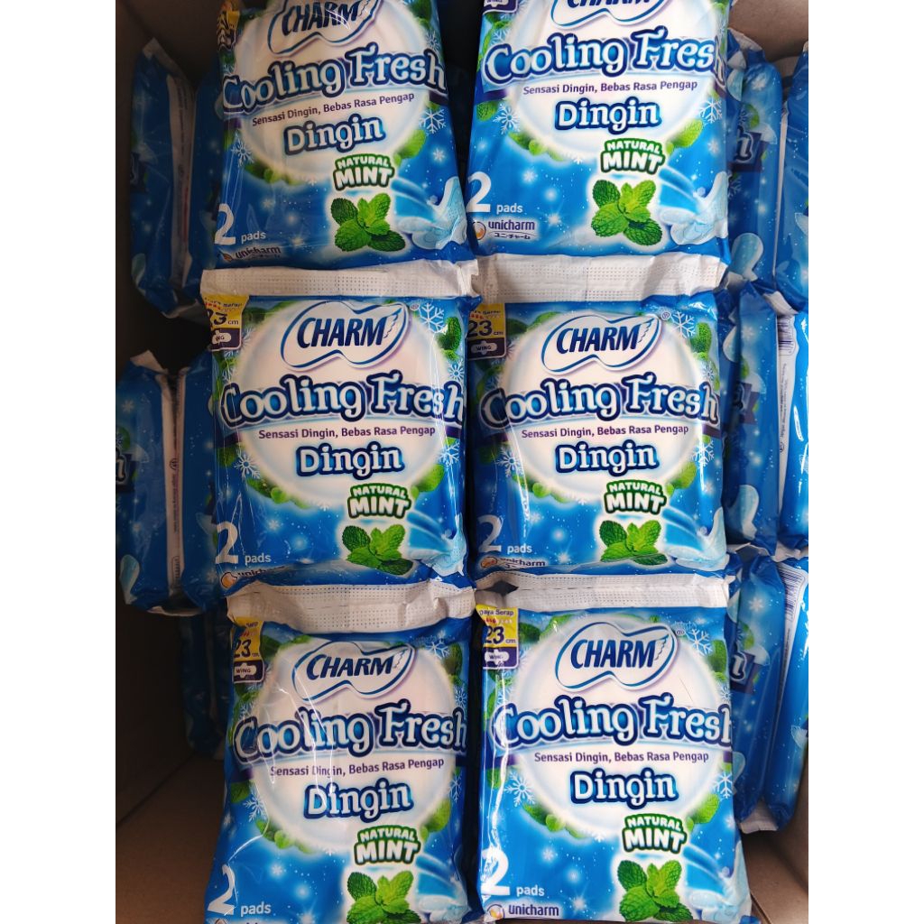 CHARM cooling fresh 23cm (Renceng)