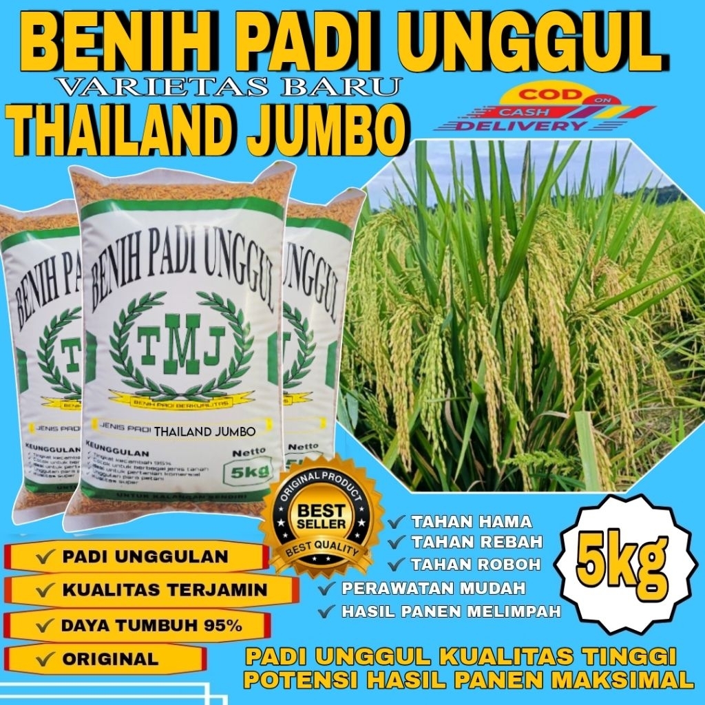 Benih Padi Unggul Thailand Jumbo Bibit Padi Kemasan 5kg Premium Original