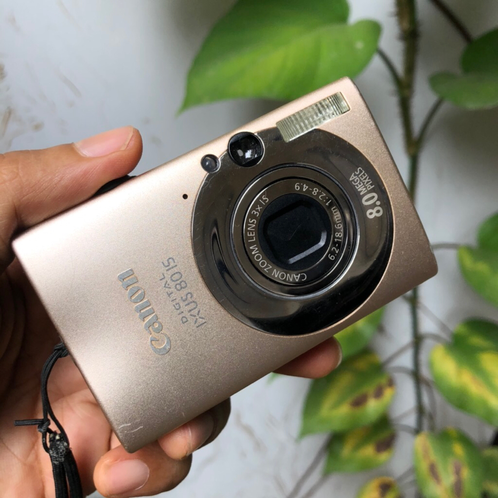 canon ixus 80 is gold