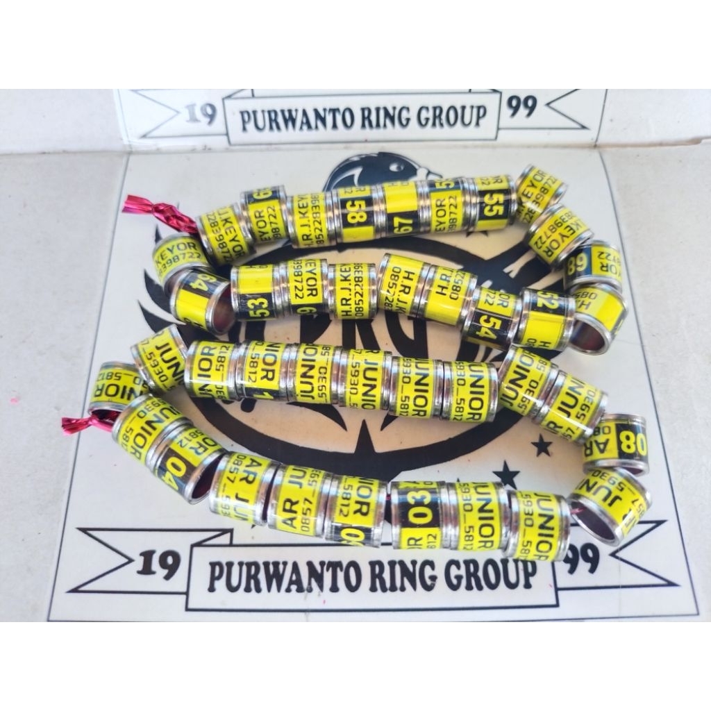 RING MERPATI MODEL BAJA RODA REQUEST NAMA RING NURI RING SUN COURNE RING INDIAN RINGNECK RING BURUNG