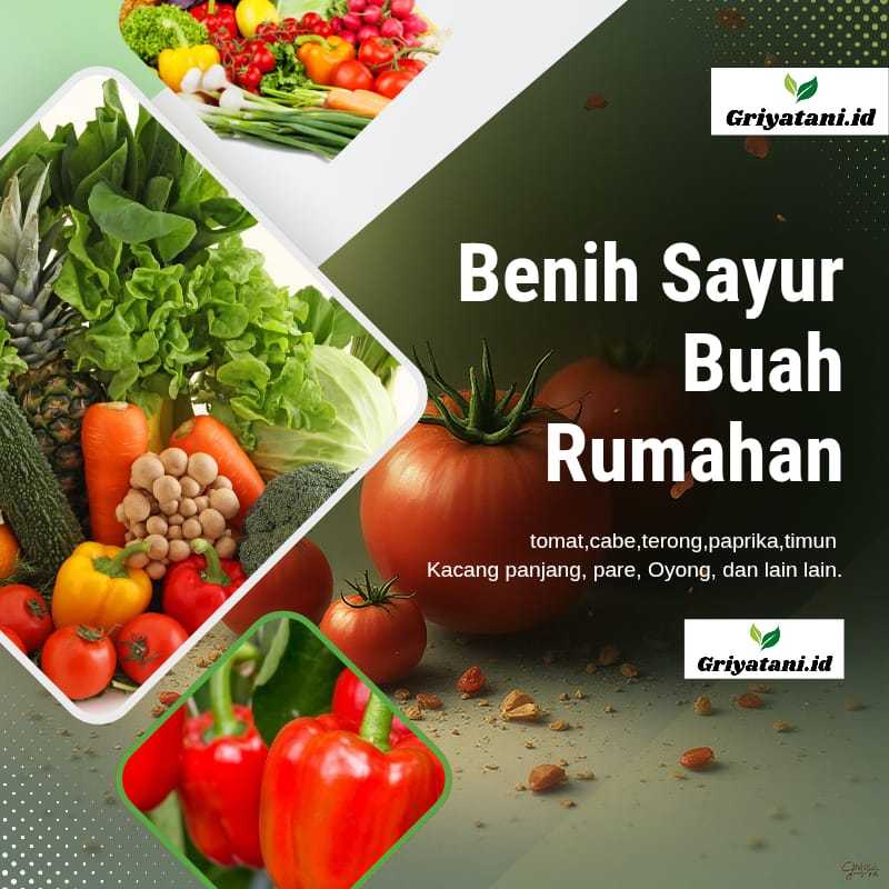 Benih Sayur Unggul Sayur Buah -Paket Lengkap Benih Sayur