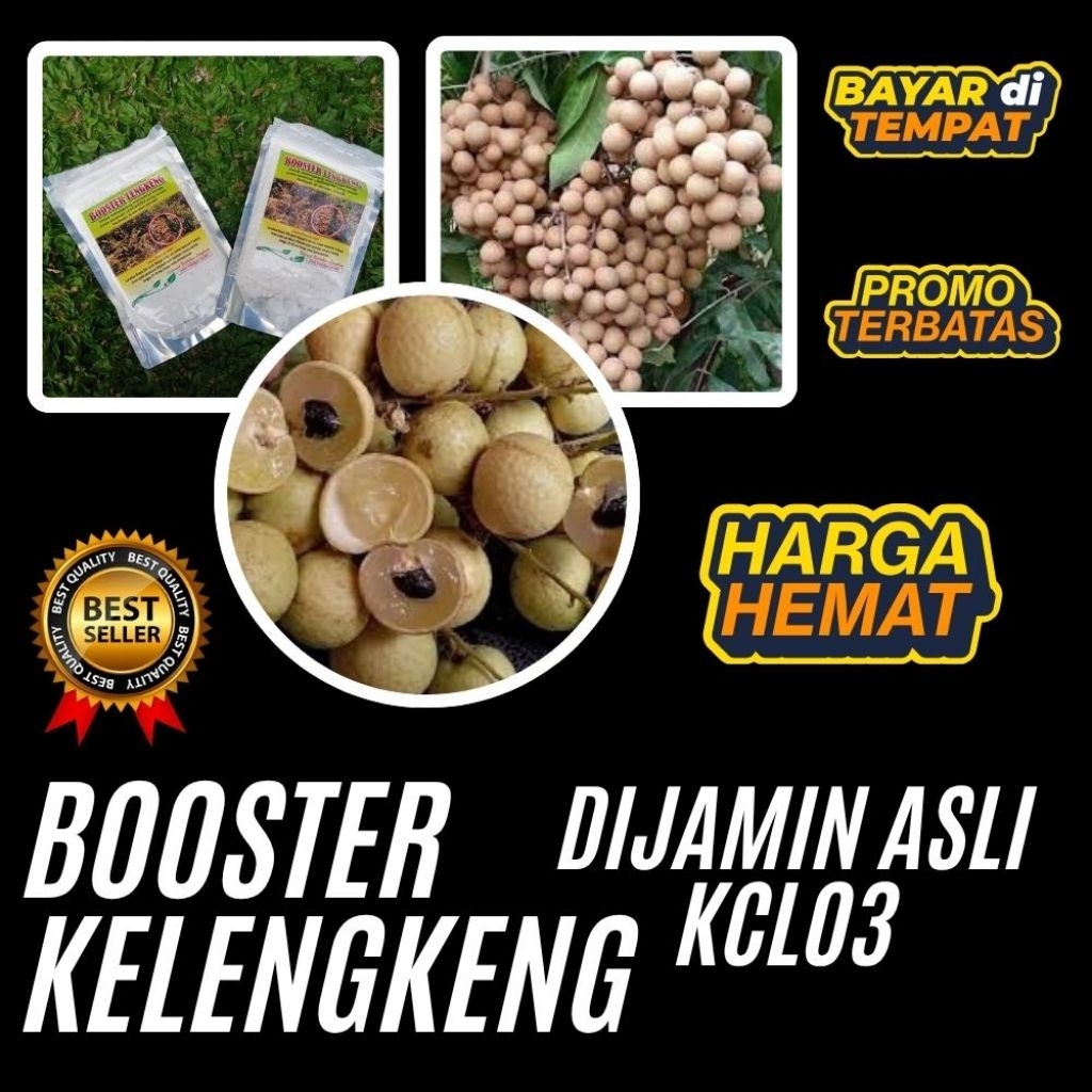 Boster Kelengkeng Nusantara, Boster Kelengkeng
