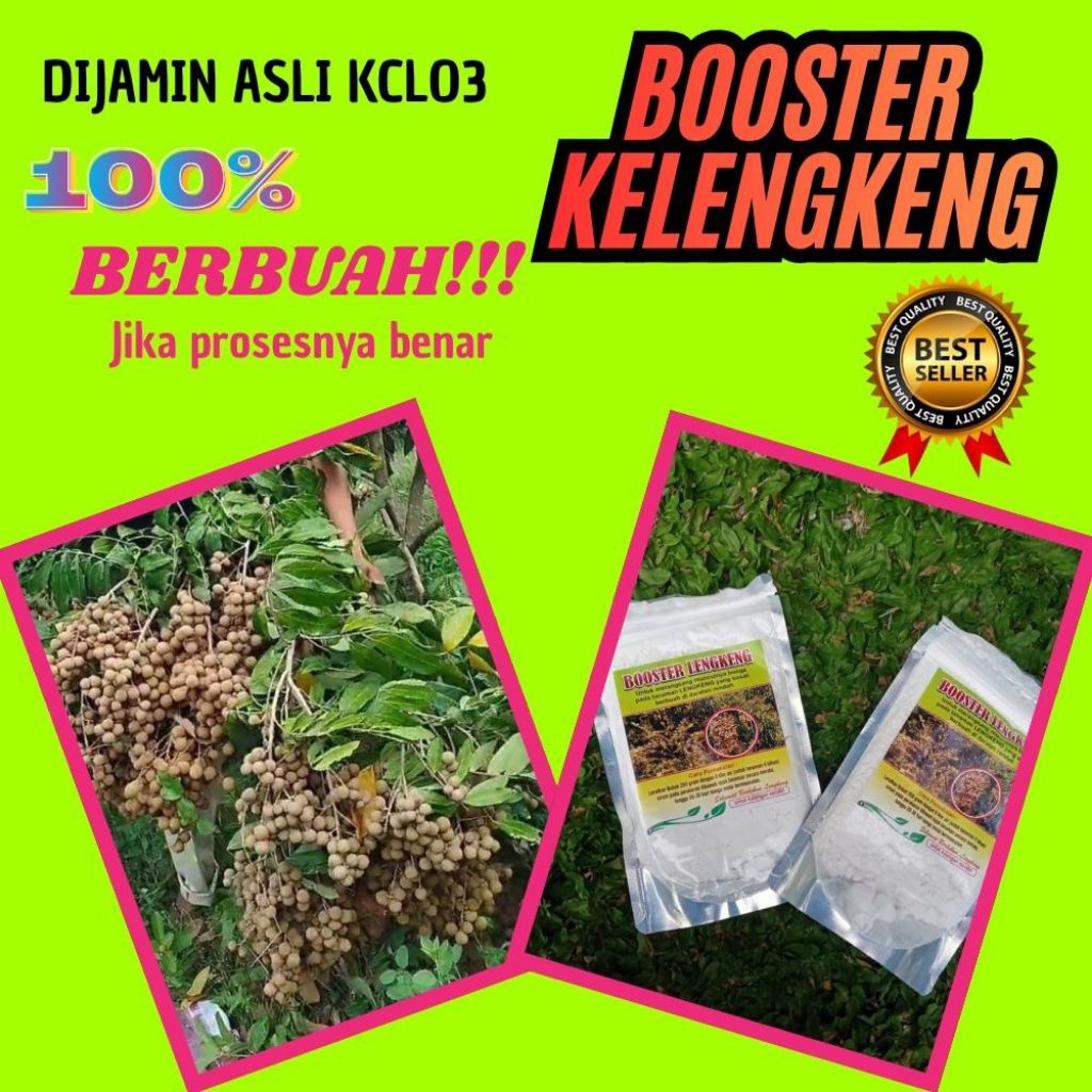 Pupuk Kelengkeng Merah, Pupuk Kelengkeng New Kristal