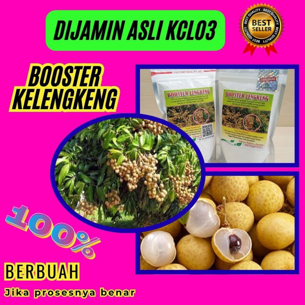 Booster Kelengkeng Serbuk, Booster Kelengkeng Terbaik, Booster Kelengkeng Terdekat