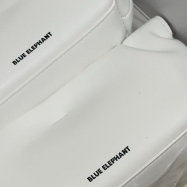 [PRE ORDER] BLUE ELEPHANT SUNGLASSES / GLASSES