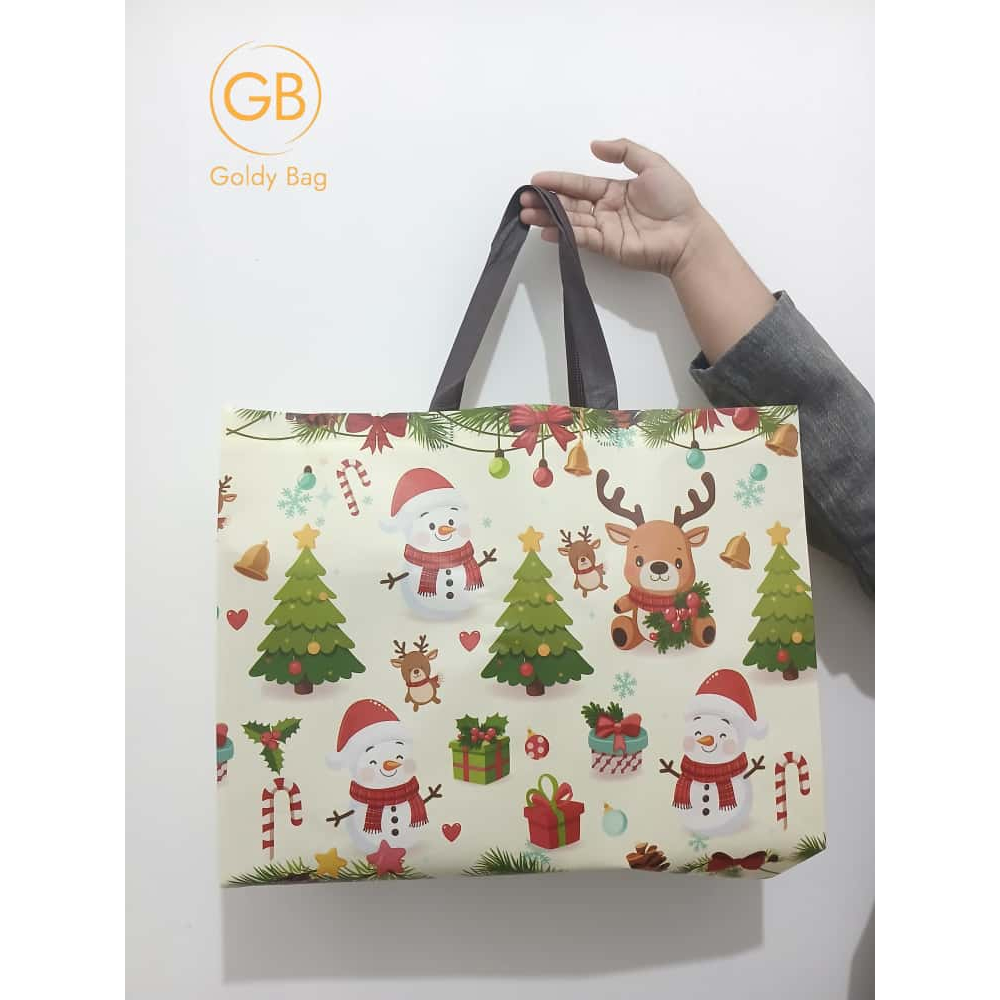 TAS NATAL PREMIUM GOODIEBAG