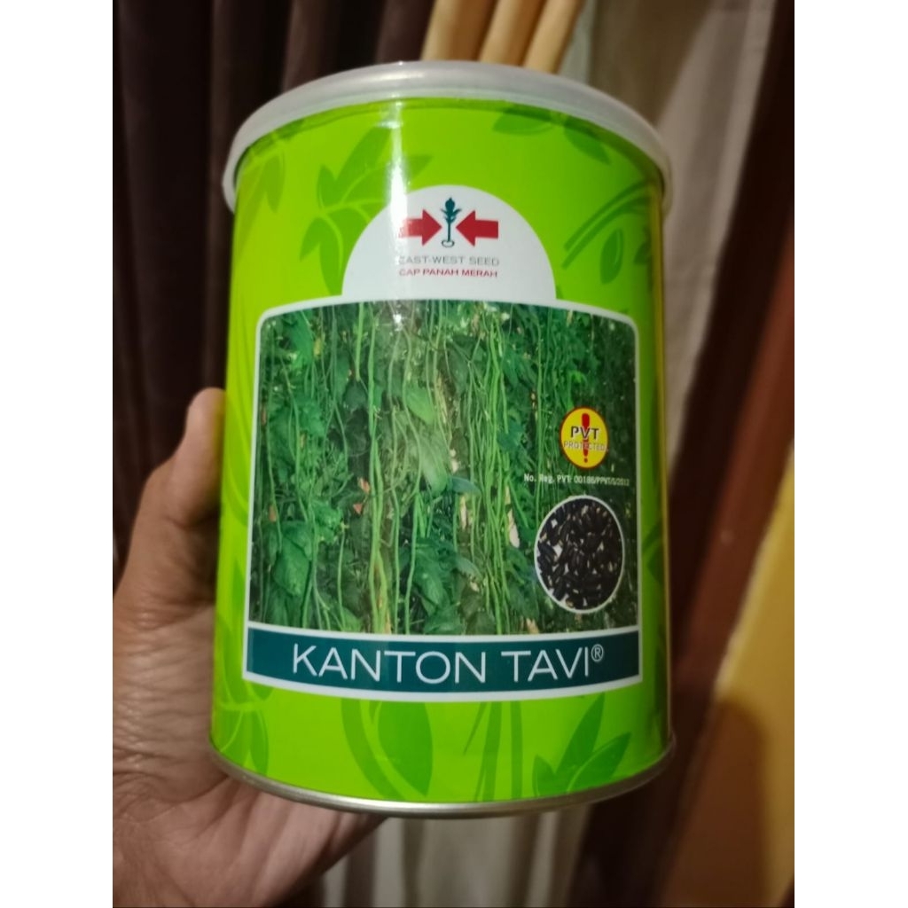Kacang Panjang Kanton Tavi 500gr