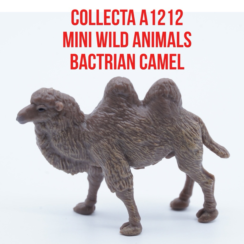 Collecta A1212 Mini Wild Animals | Bactrian Camel Unta Baktria Unta Berpunuk Dua  Camelus Bactrianus