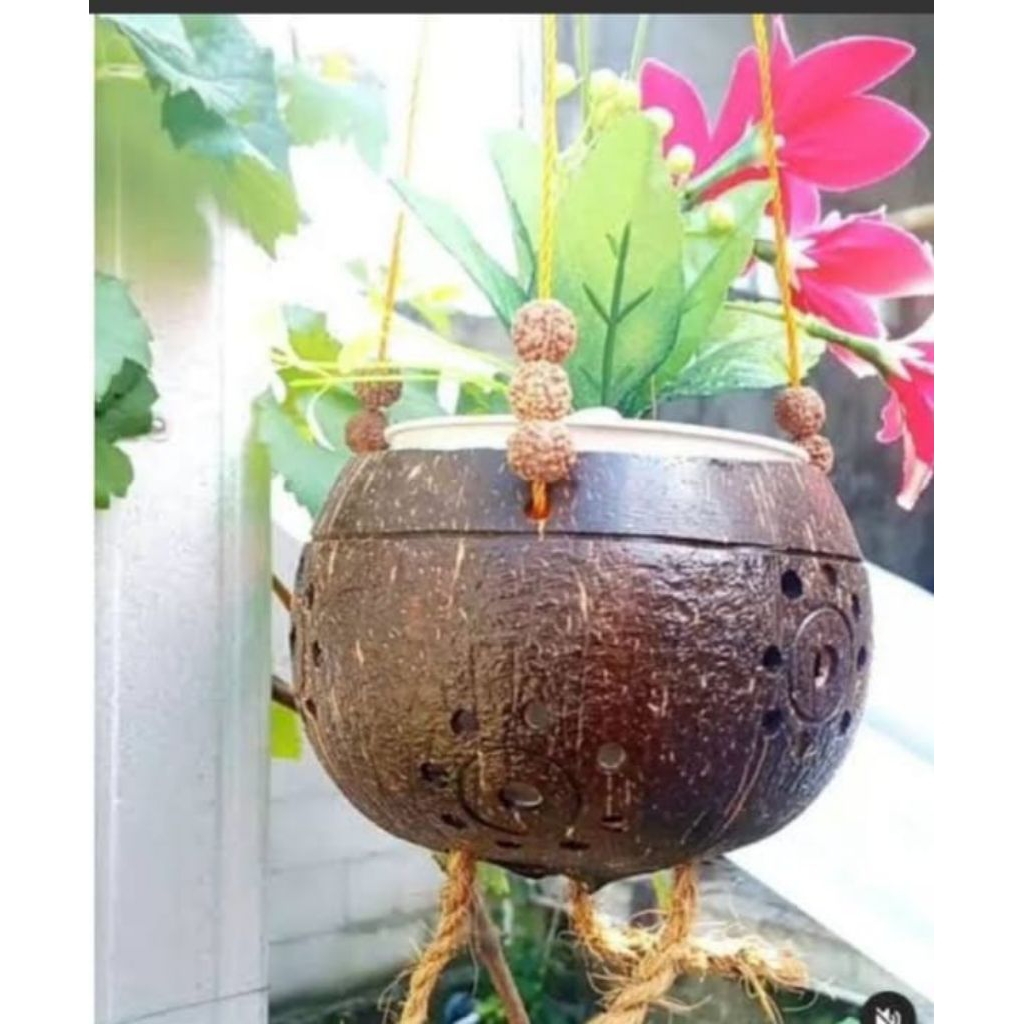 pot gantung batok kelapa, pot bunga batok kelapa