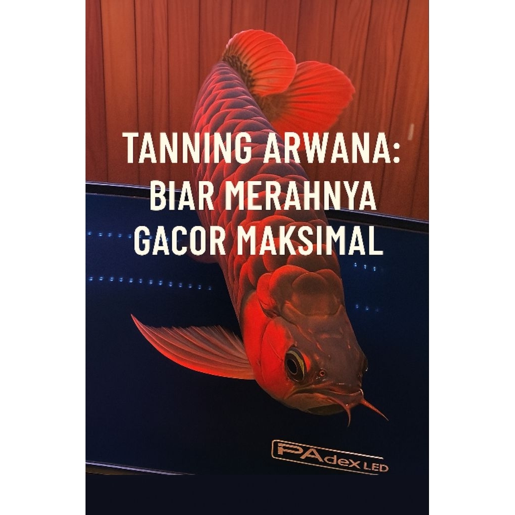 LAMPU TANNING LED HPL 40 MATA LED cahaya 35.000 KELVIN