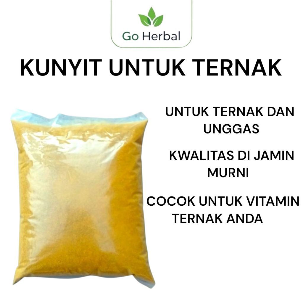 Kunyit Bubuk Grade B 1Kg/Kunyit Bubuk Untuk Ternak 1Kg
