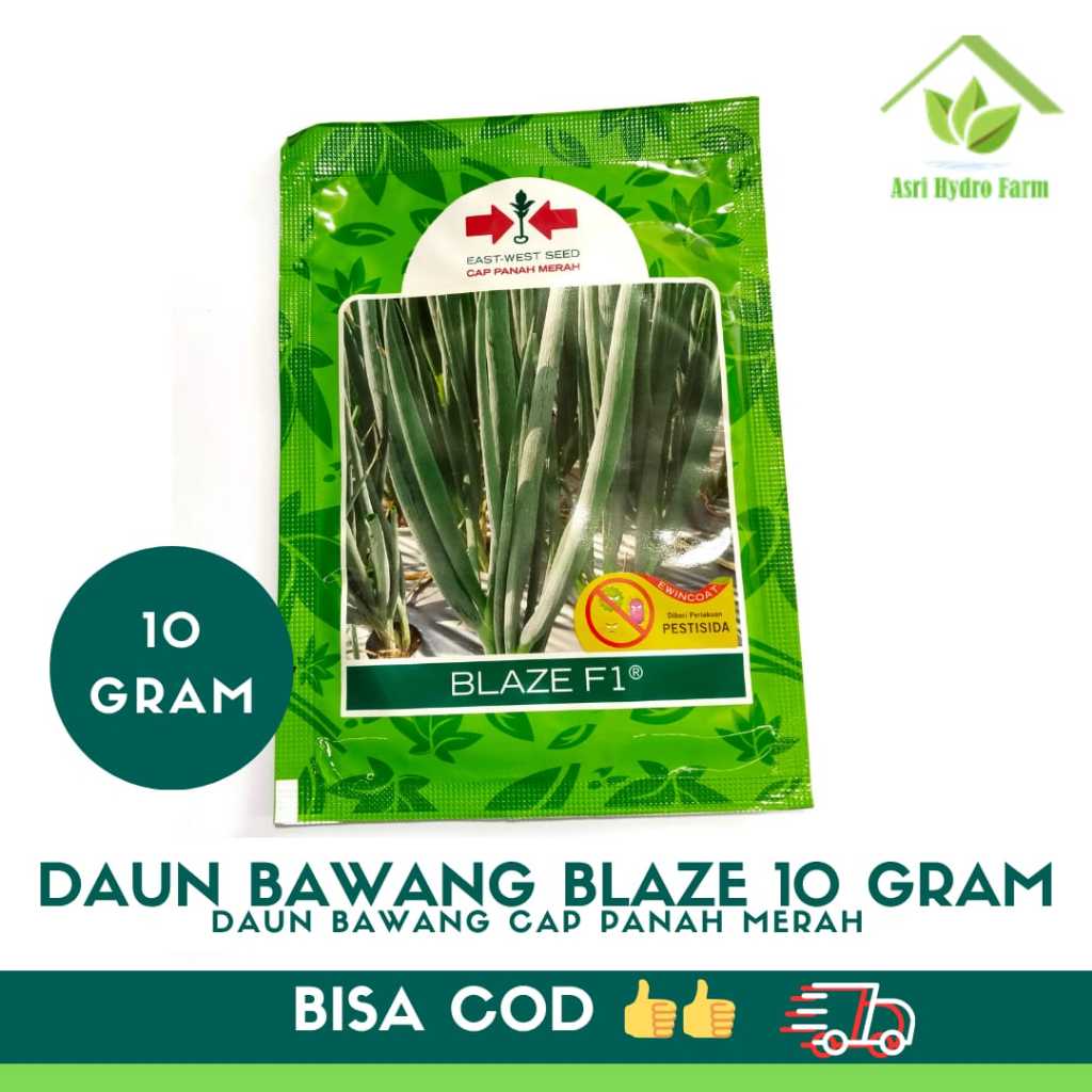 10 GRAM BENIH BAWANG DAUN BLAZE SP - benih daun bawang blaze kemasan original pabrik