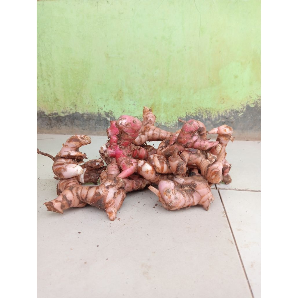 laja merah segar 1kg