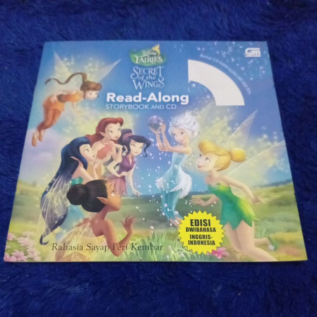 buku fairies secret of the wings