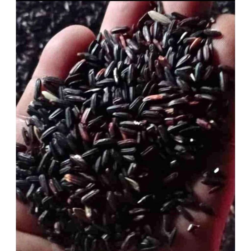 beras ketan hitam jawa, ketan ireng lokal 300g