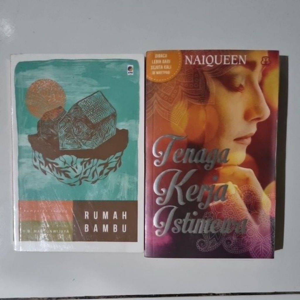 Novel dan Kumpulan Cerpen Preloved Original Berbahasa Indonesia | Tenaga Kerja Istimewa by Naiqueen 