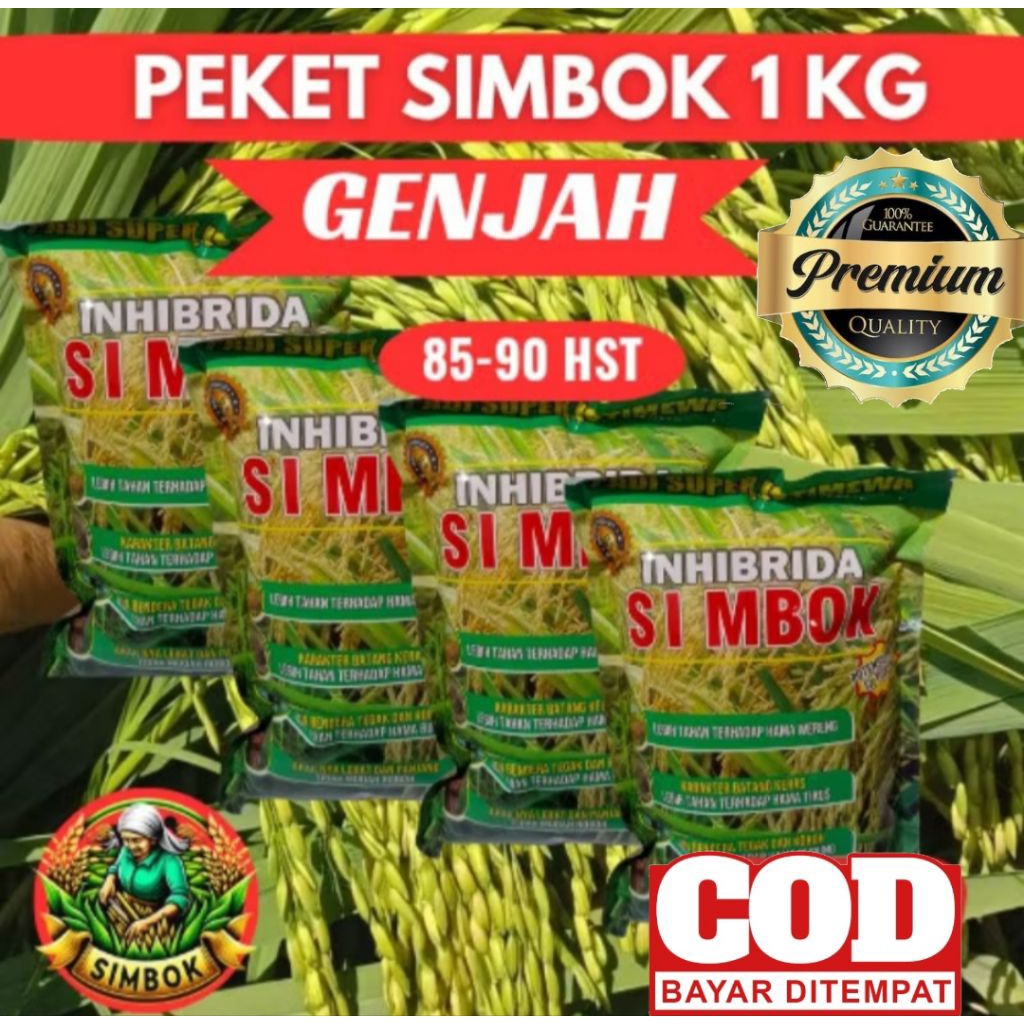(1 KG)PADI SIMBOK UMUR PENDEK/GENJAH UMUR 85-90 HST