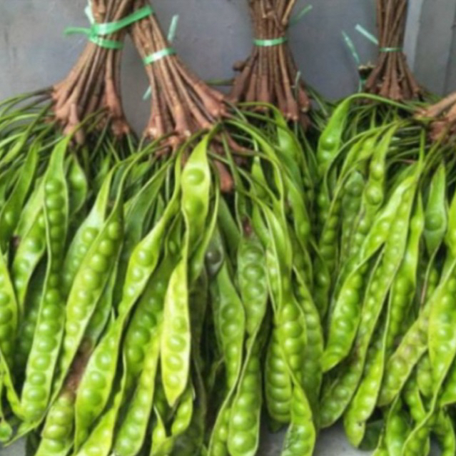 Petai Padi Sambas Asli Segar – 10 Papan | Petai Kalimantan Barat Aromatik & Gurih