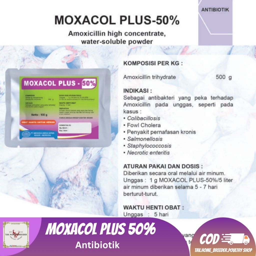 MOXACOL PLUS-50% 250 GRAM ANTIBIOTIK OBAT AYAM