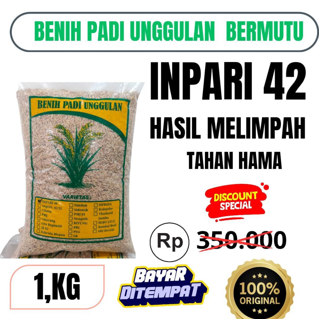 Benih padi unggul berkualitas INPARI 42 kemasan 1KG benih padi Inpari 42