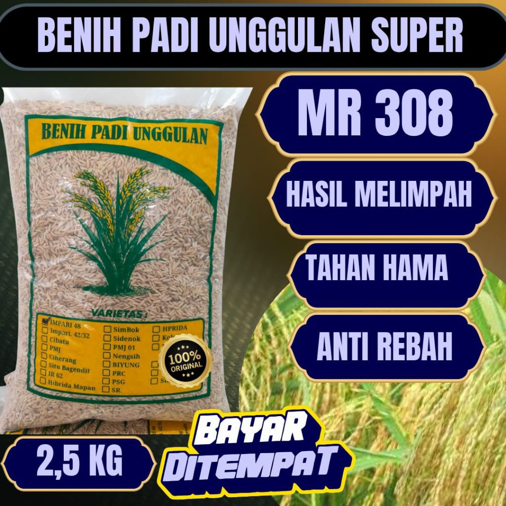 BENIH PADI UNGGUL BERKUALITAS SUPER MR.308 NOTE 2,5.KG benih padi mr308