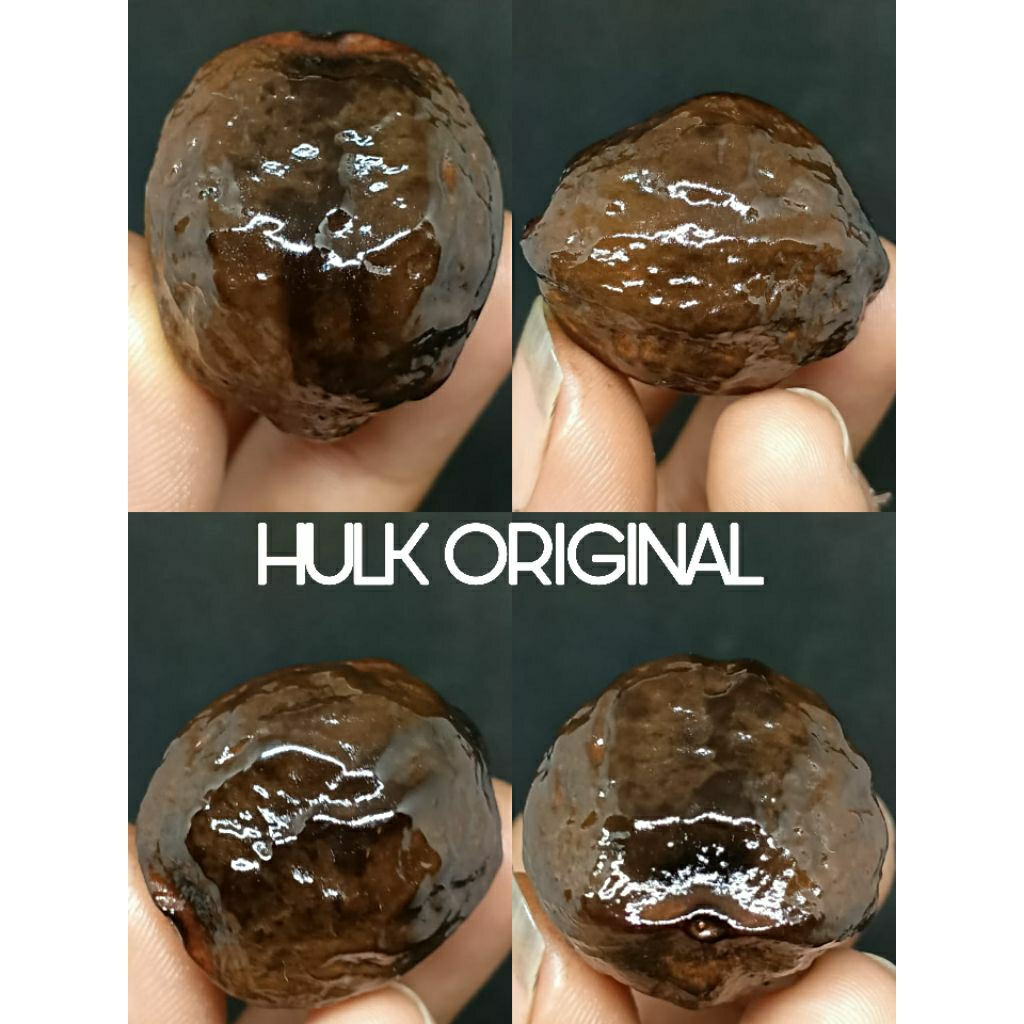 muncang aduan garut bahan kojoan