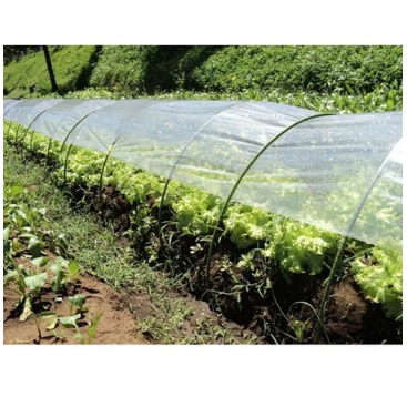 Takiron Tunnel Pipe 11mm x 2400mm Ajir Lengkung Ajir Tanaman Ajir Modern Kualitas Jepang