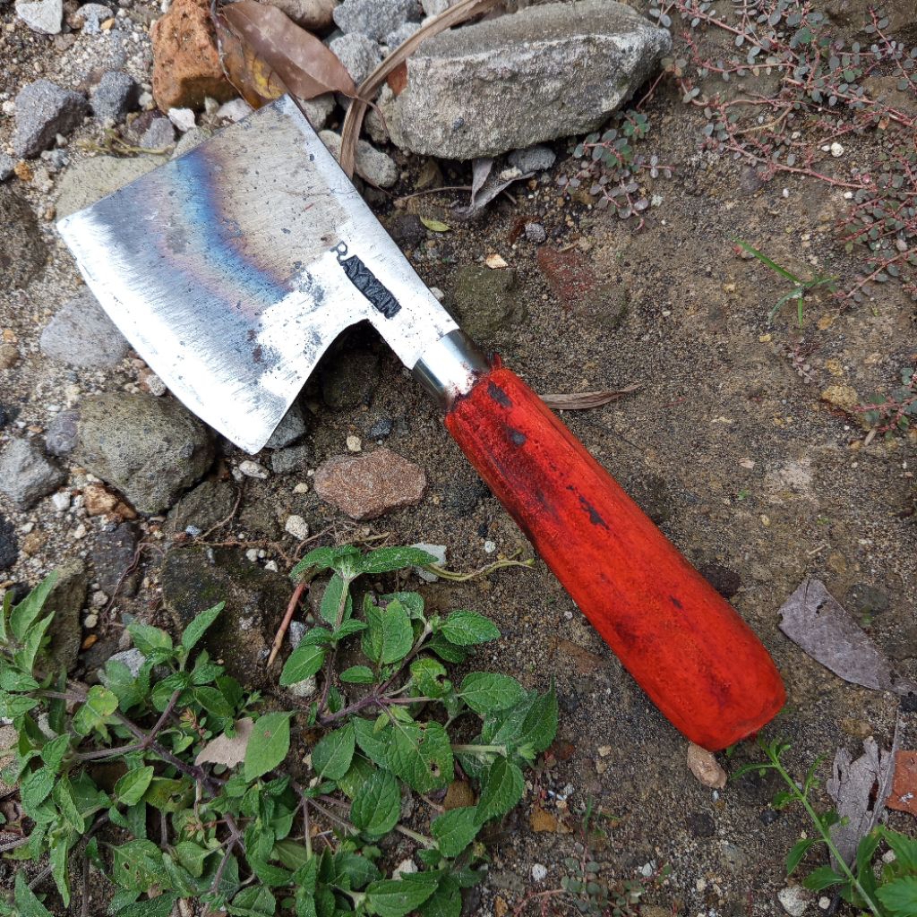 Kapak Kupas Cangkang Kulit Kelapa Bahan Baja Per Asli Multifungsi