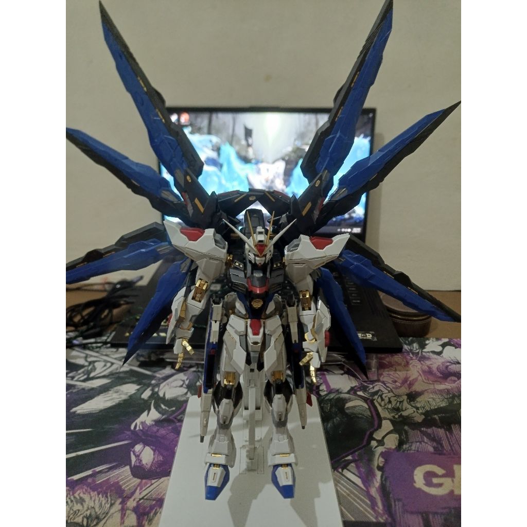 daban MG Gundam strike freedom(no box)