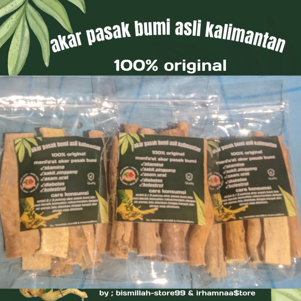 Akar Pasak Bumi Asli Kalimantan 100% Original