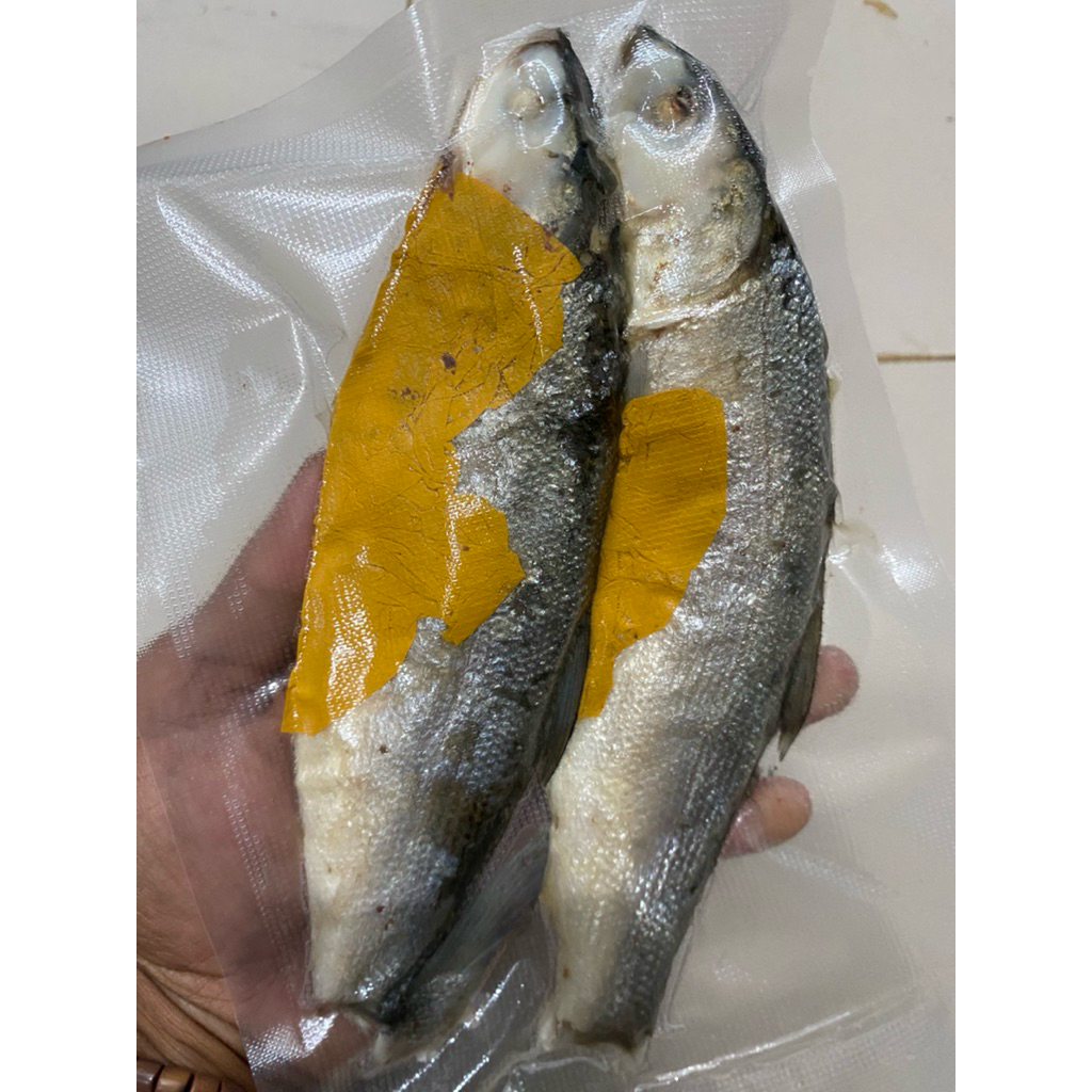 Ikan bandeng/ikan pindang bandeng/ikan bandeng pindang fresh super besar