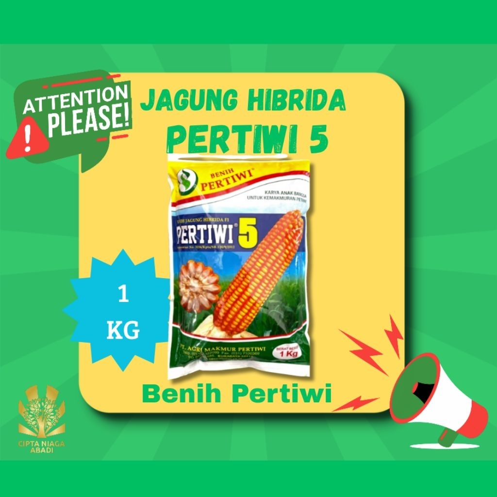 Benih Jagung Hibrida PERTIWI 5, 1kg