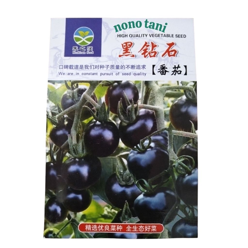 Benih Tomat Hitam Cina