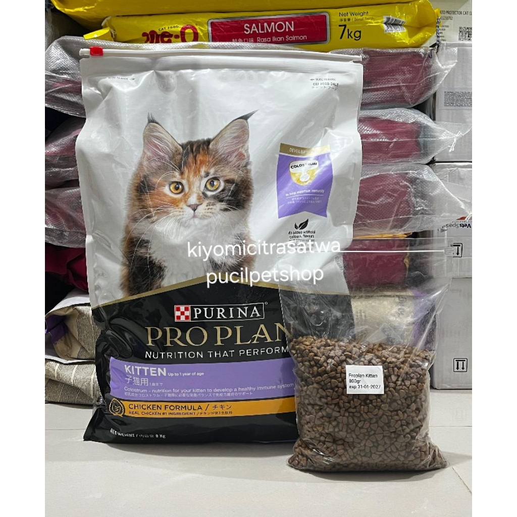 Proplan Kitten Pro Plan Kitten Makanan Anak Kucing Makanan Kucing Catfood Dryfood Kitten